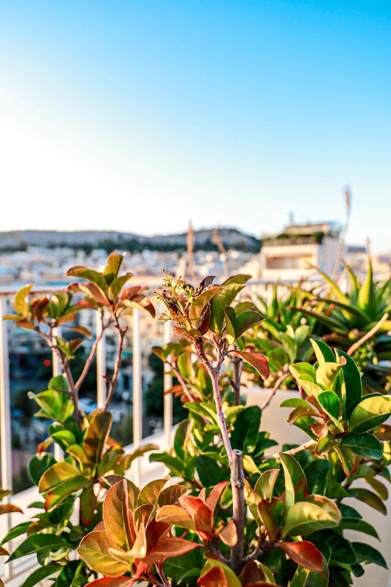 Renovated Apartment With Roof Garden Access, 15 M Walk To Acropolis Athens Exterior photo
